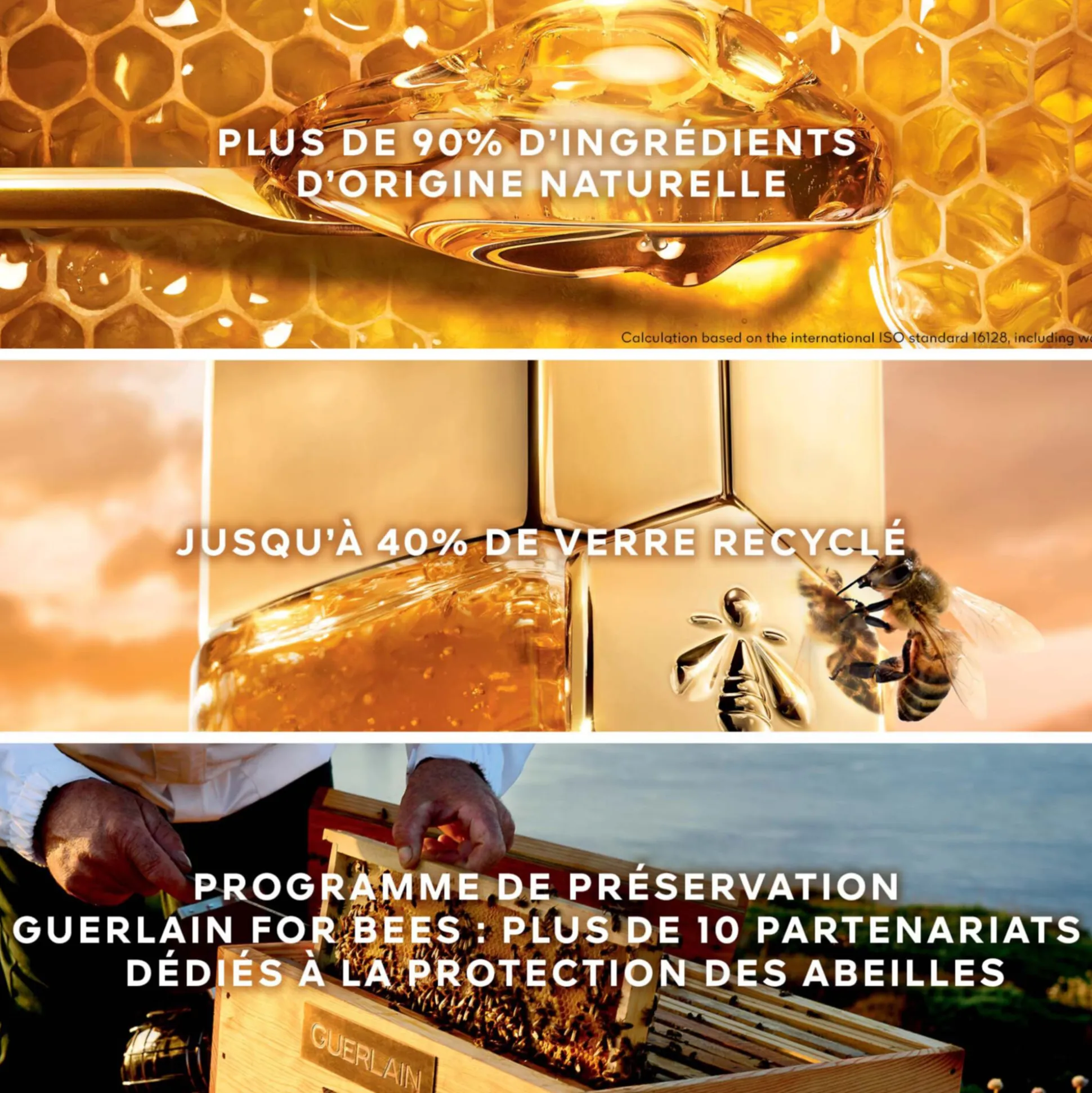 Abeille Royale