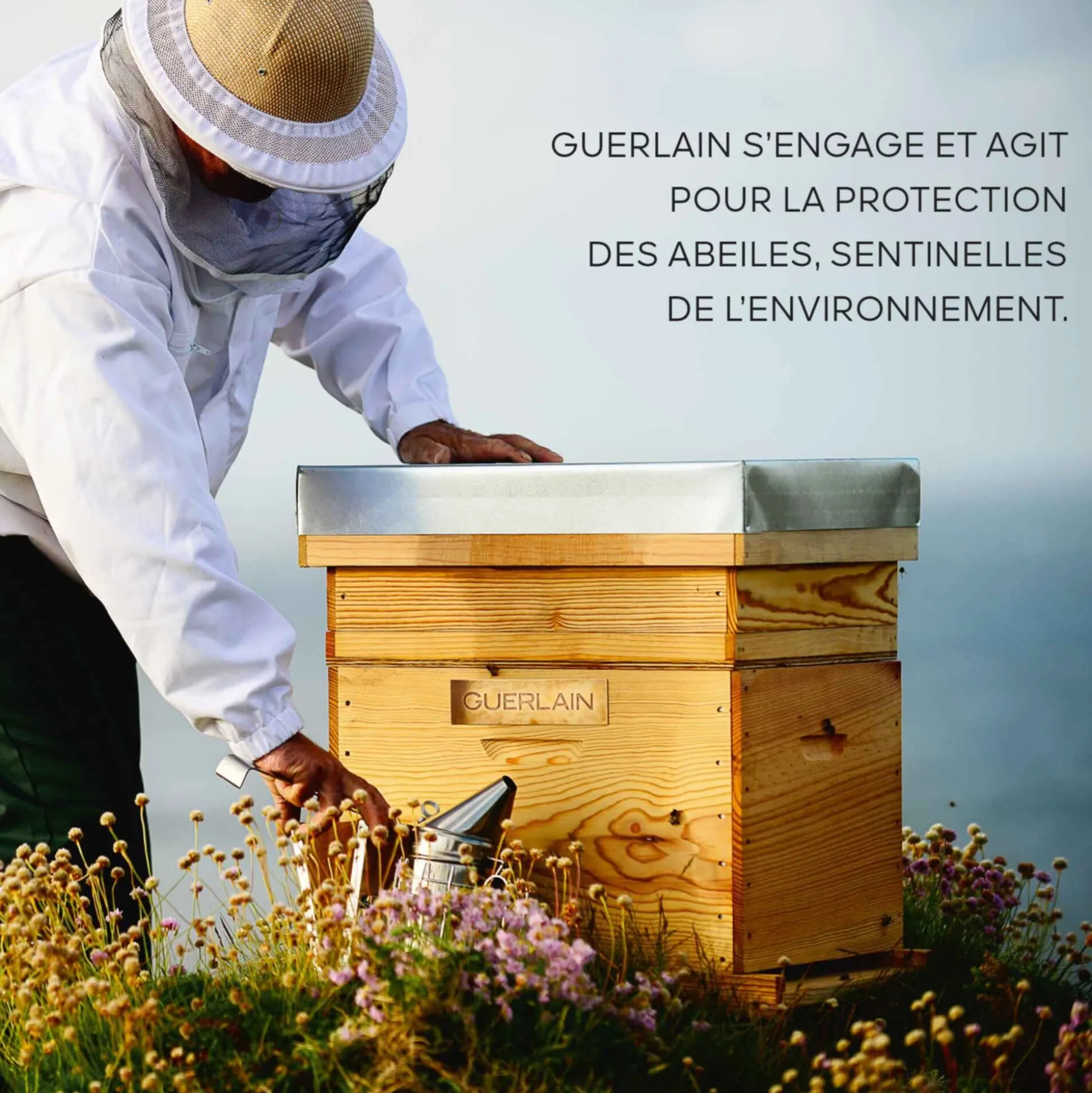 Abeille Royale