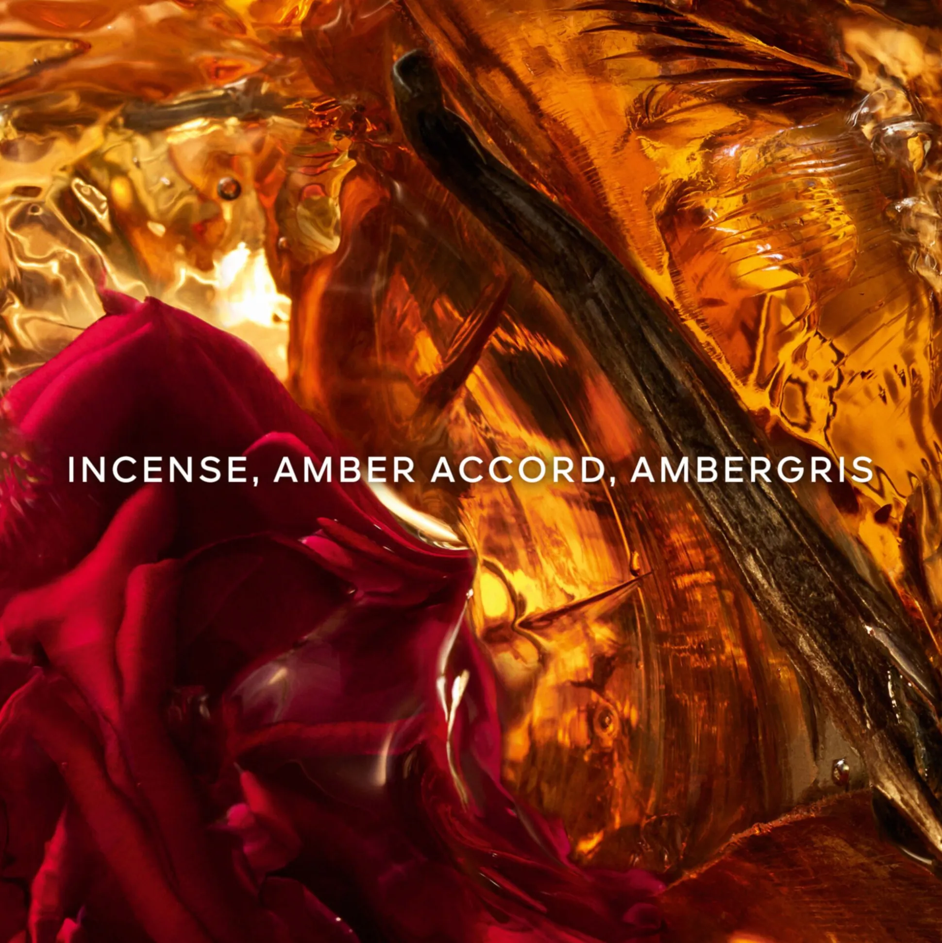 Absolus Allegoria Ambre Samar