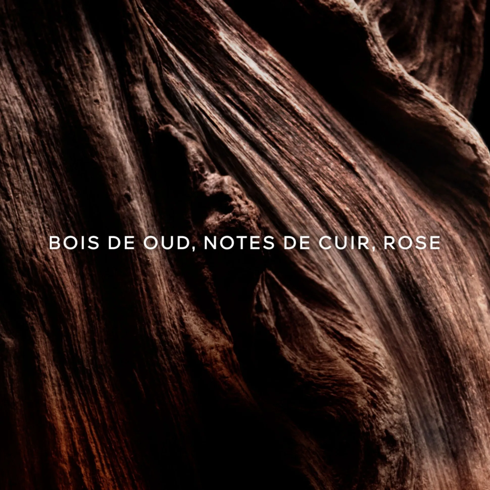 Absolus Allegoria Oud Essentiel