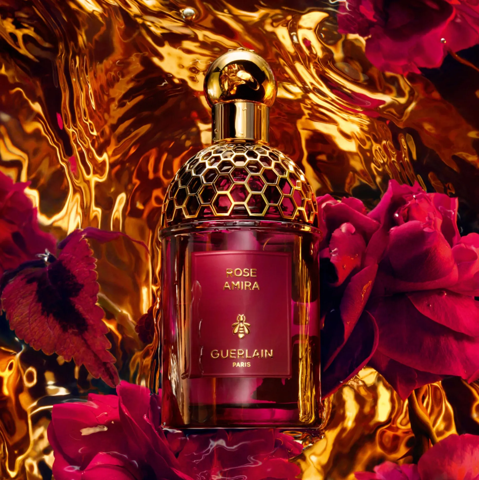 Absolus Allegoria Rose Amira