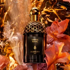Absolus Allegoria Santal Royal