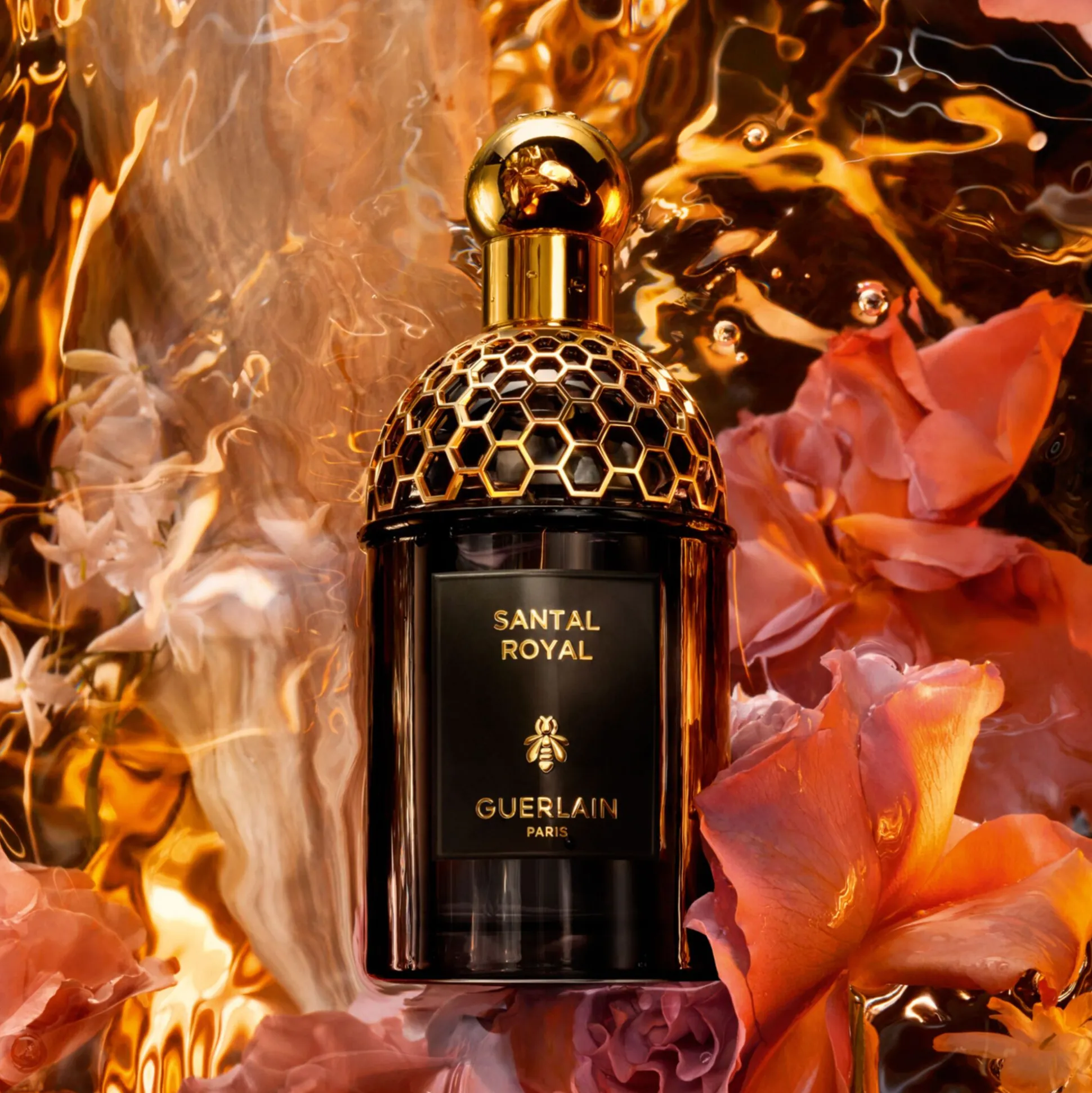 Absolus Allegoria Santal Royal