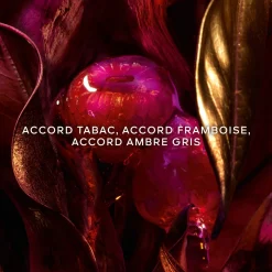 Absolus Allegoria Tabac Sahara
