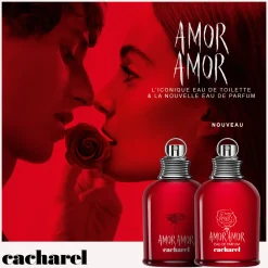 Amor Amor