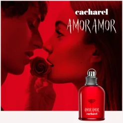Amor Amor