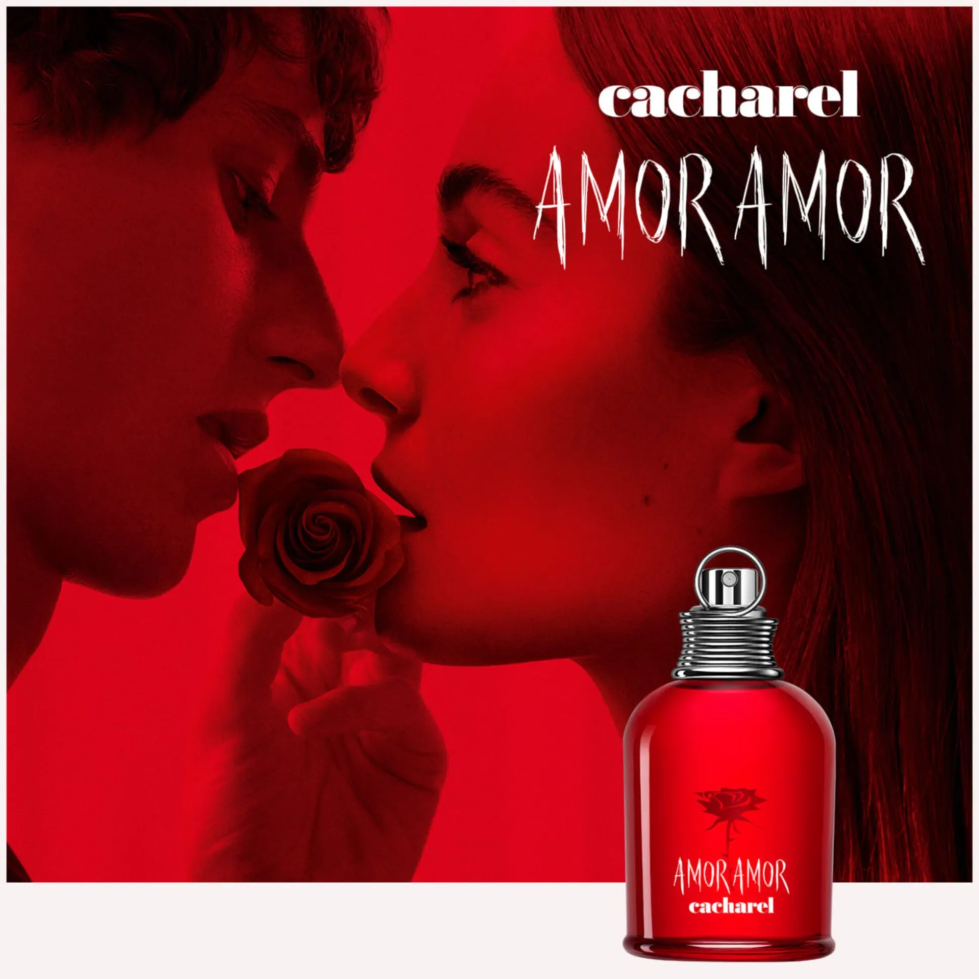 Amor Amor
