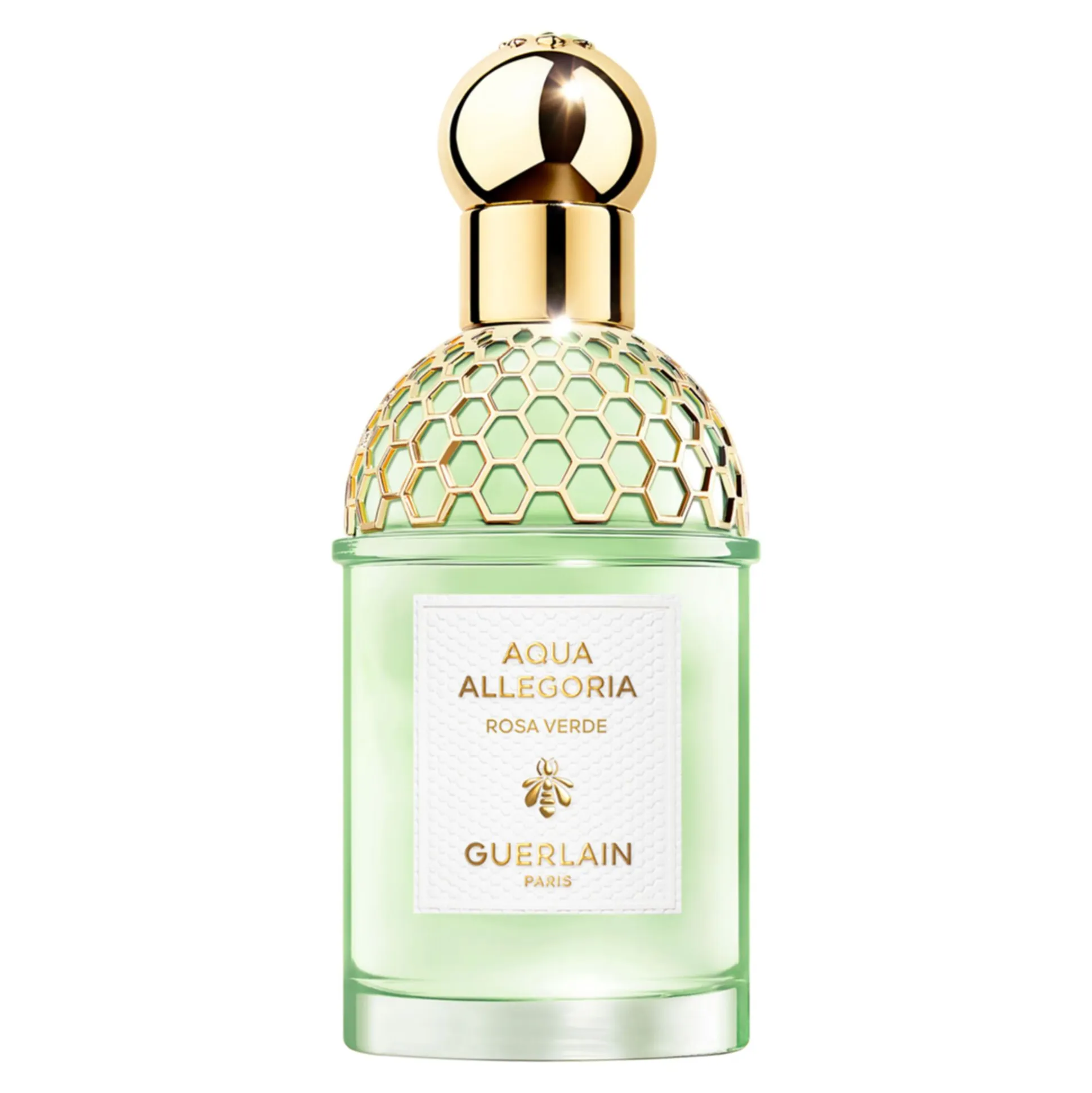Aqua Allegoria