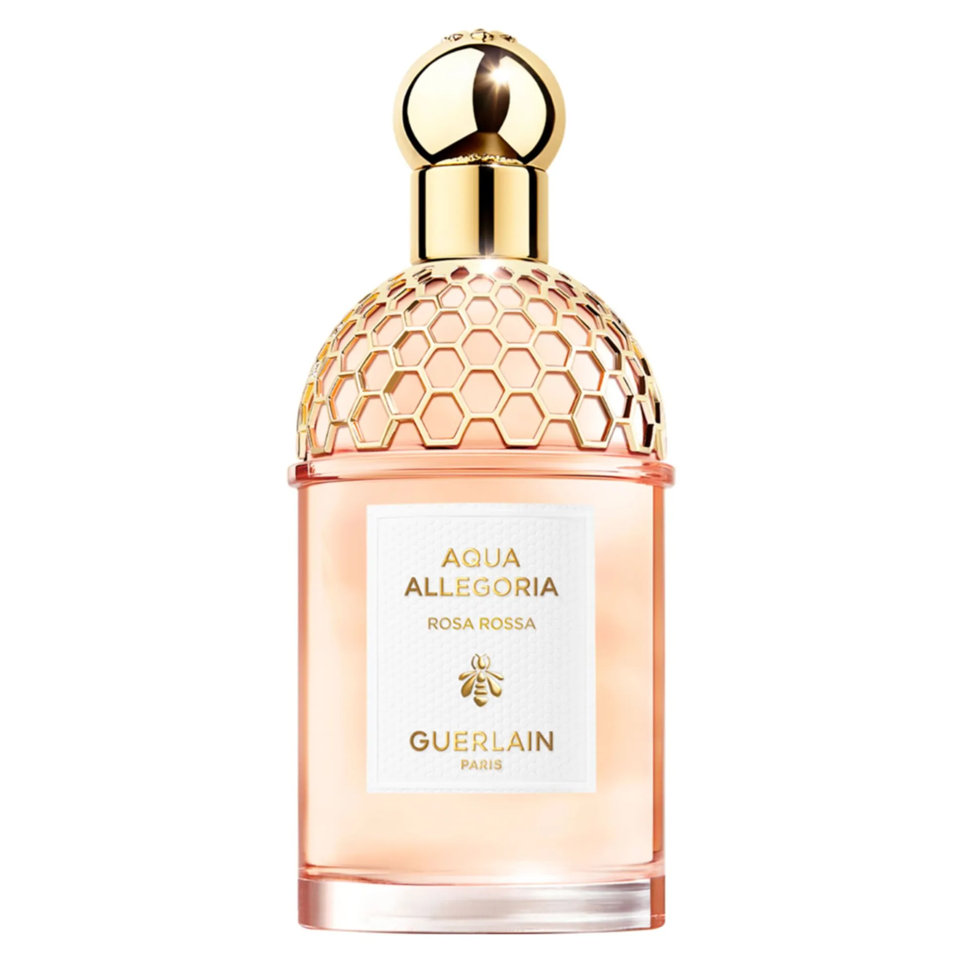 Aqua Allegoria