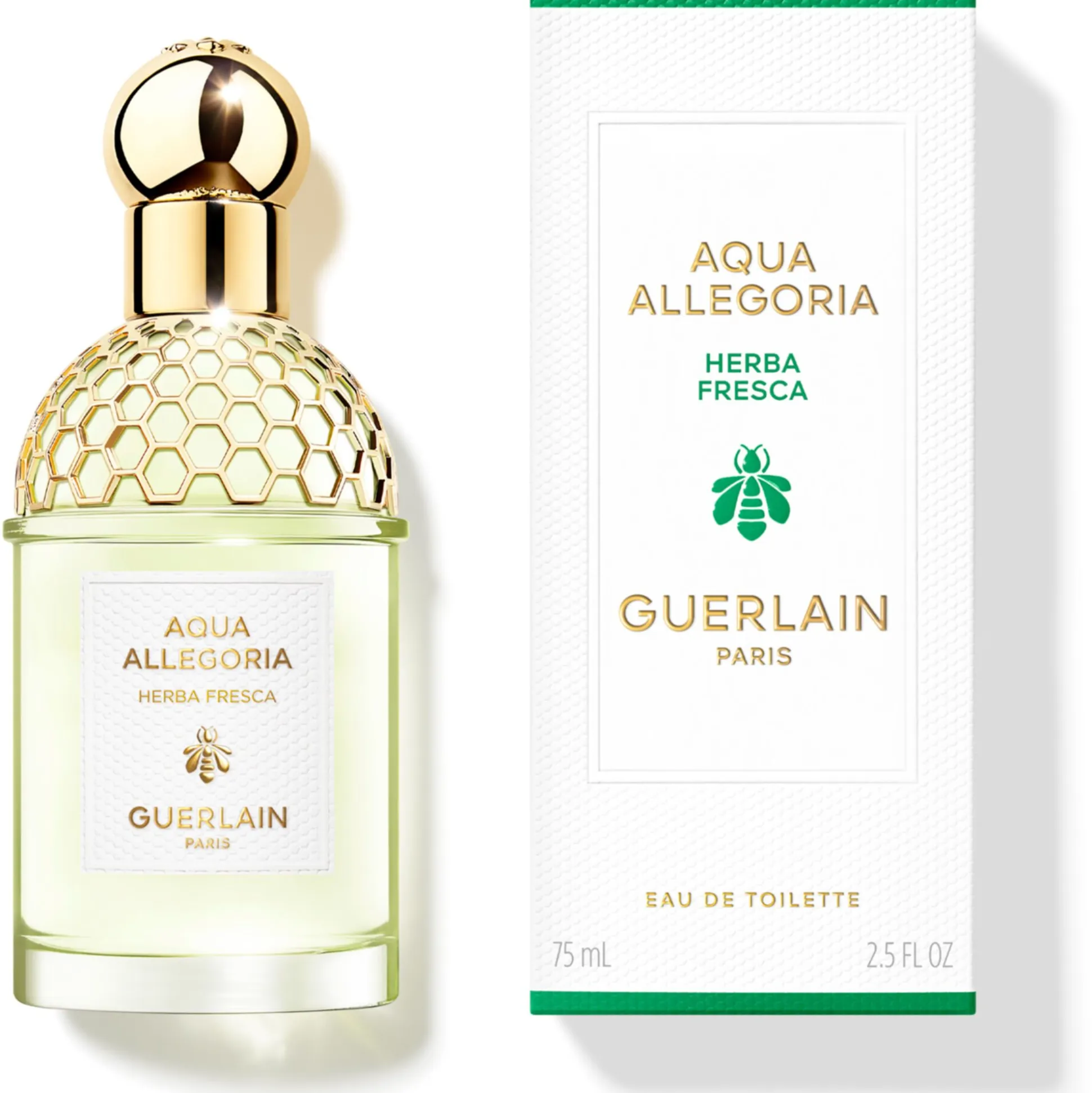 Aqua Allegoria