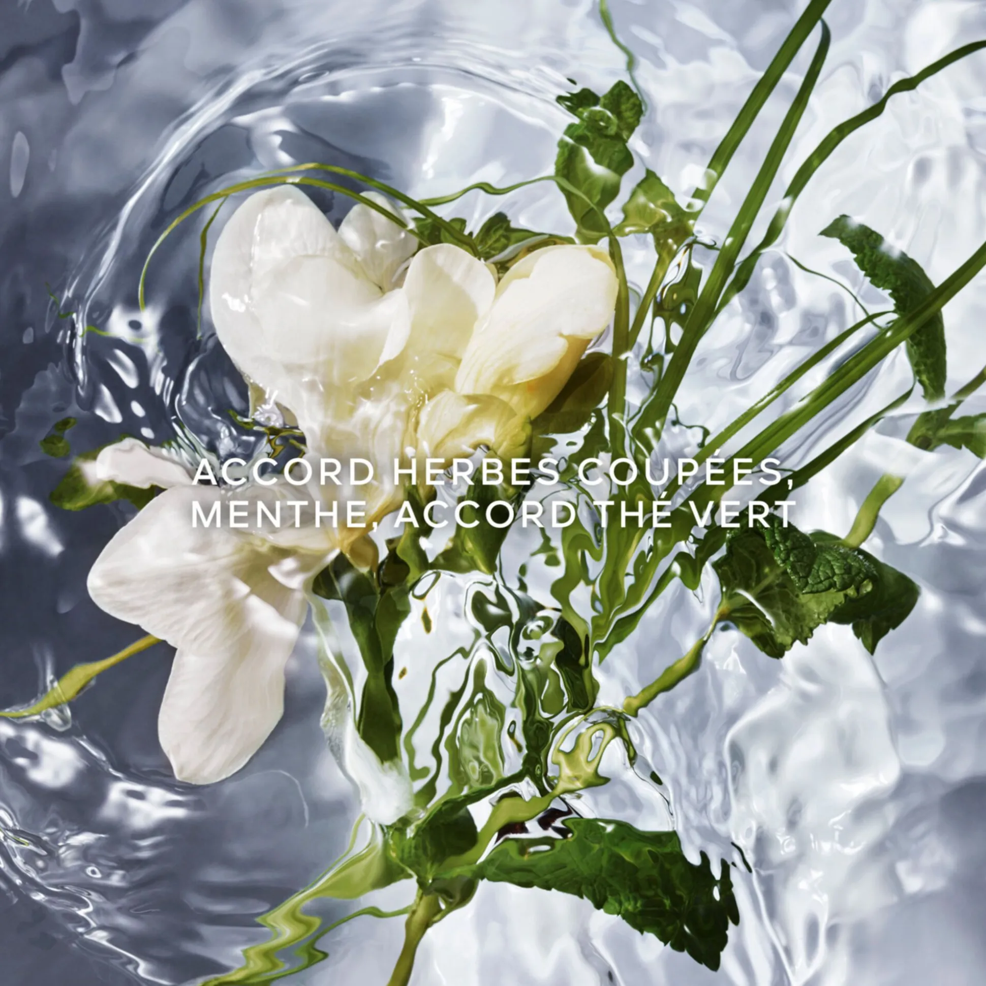 Aqua Allegoria