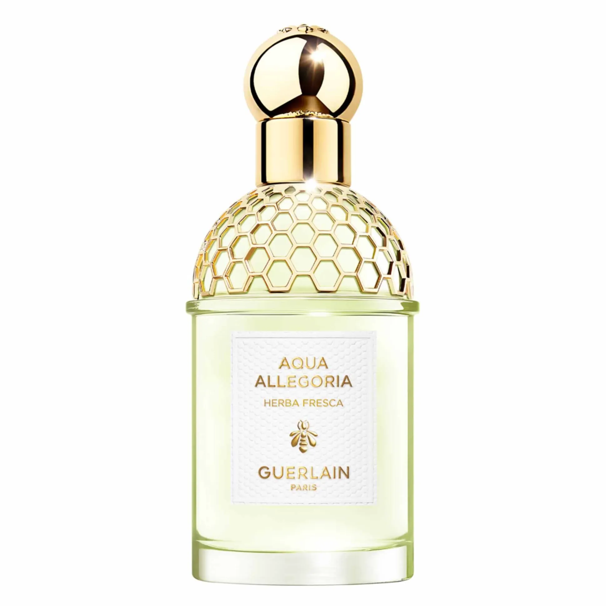 Aqua Allegoria