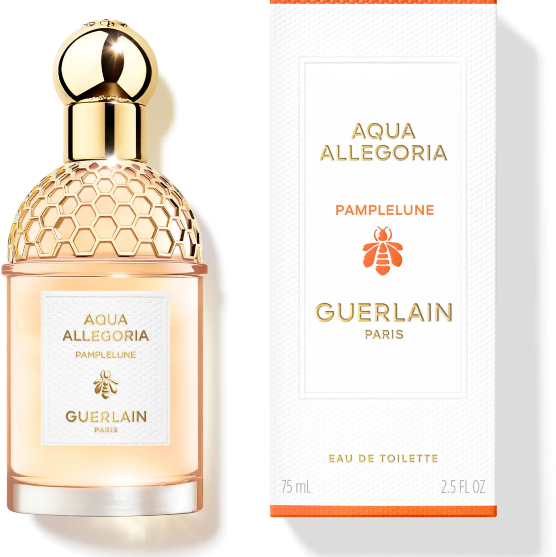 Aqua Allegoria
