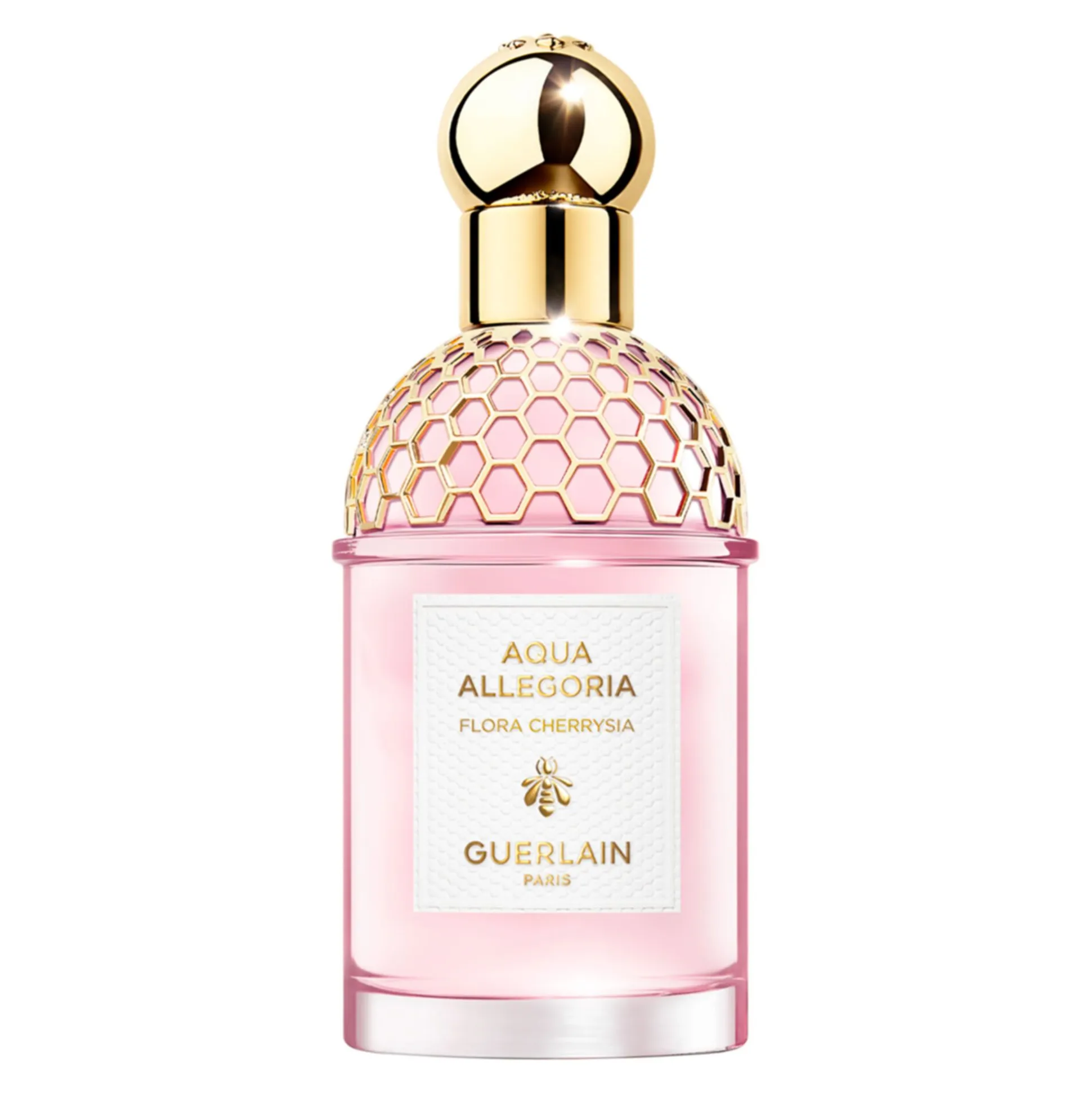 Aqua Allegoria