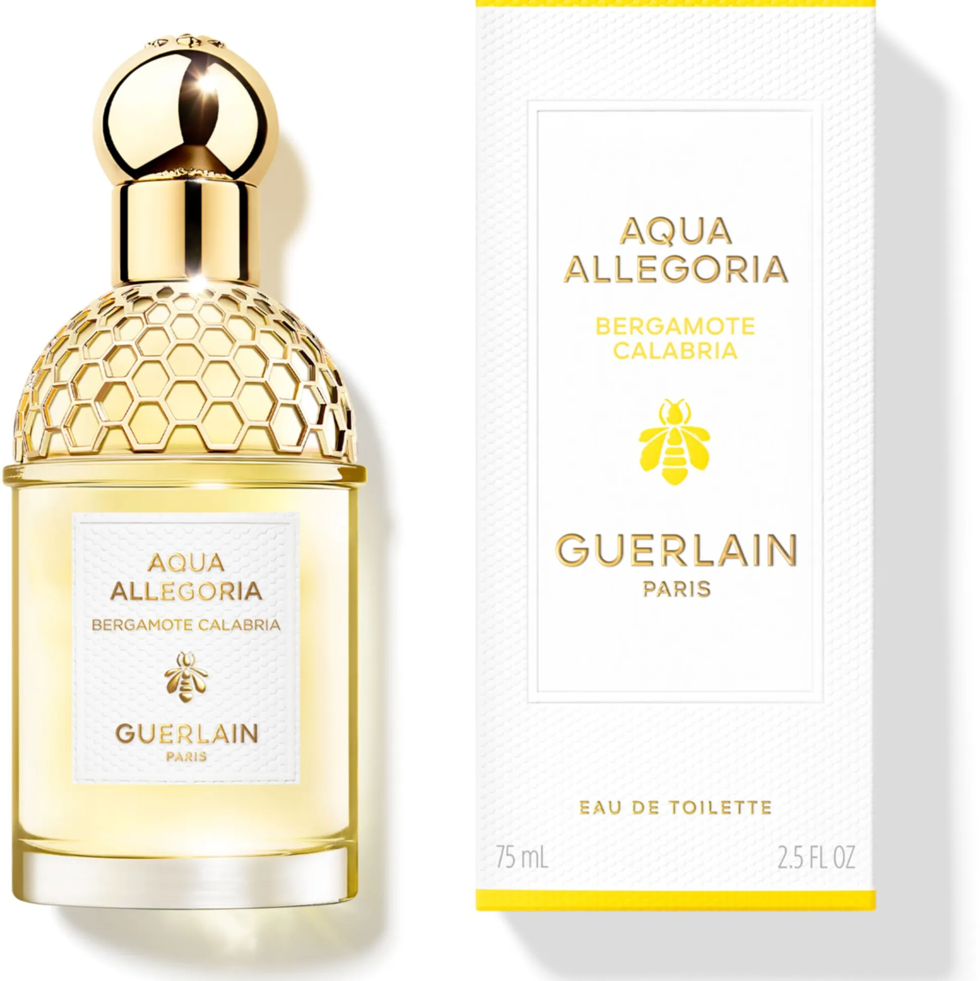 Aqua Allegoria