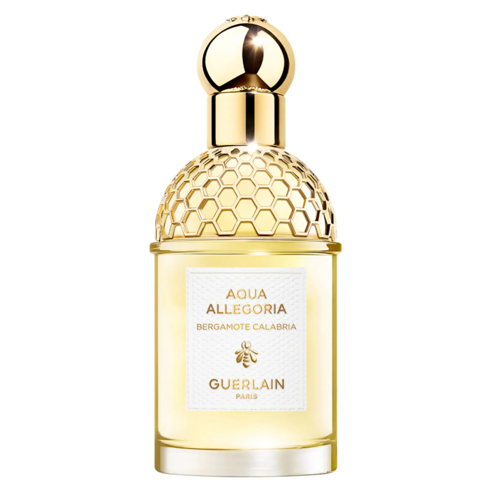 Aqua Allegoria