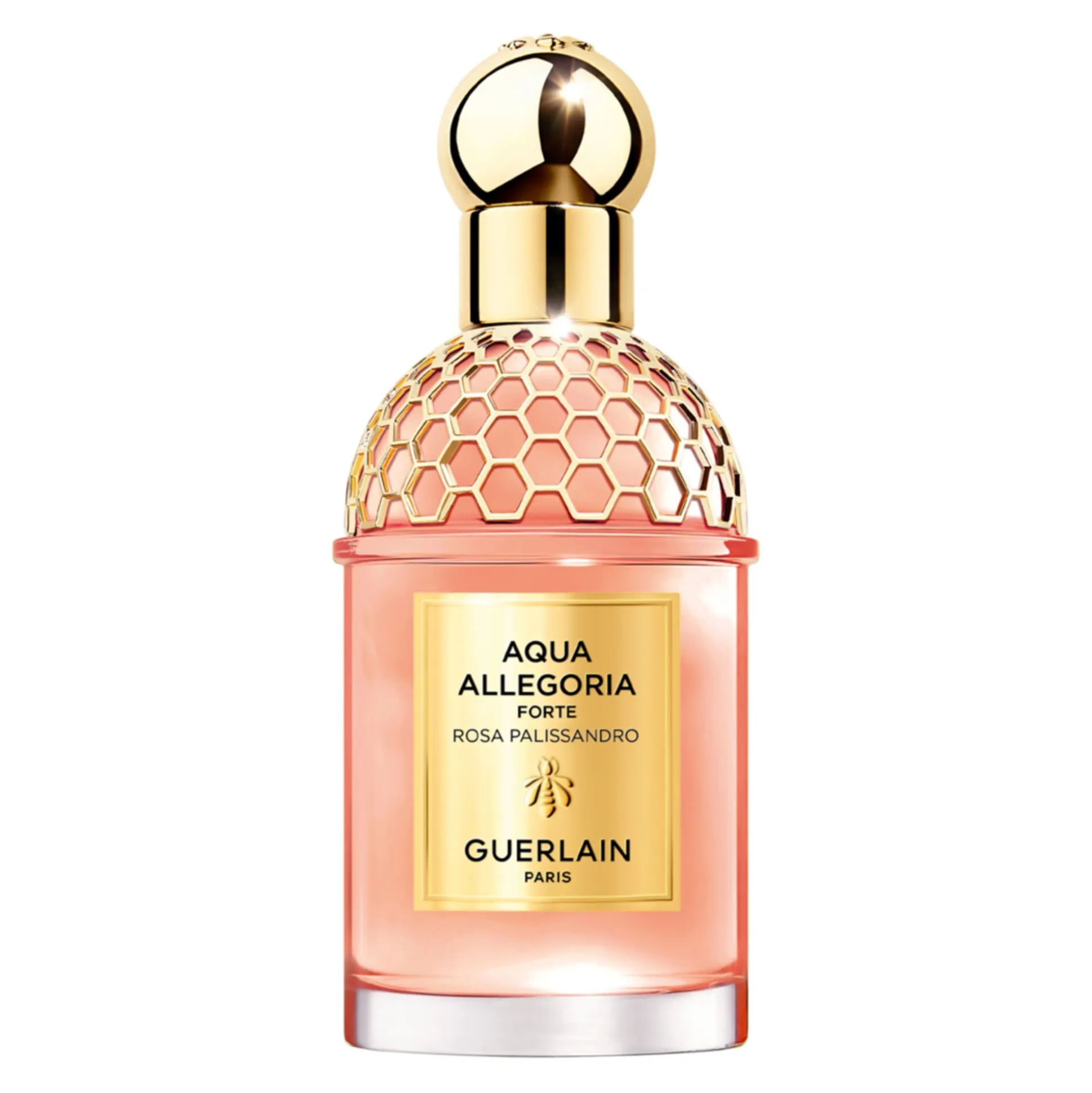 Aqua Allegoria Forte