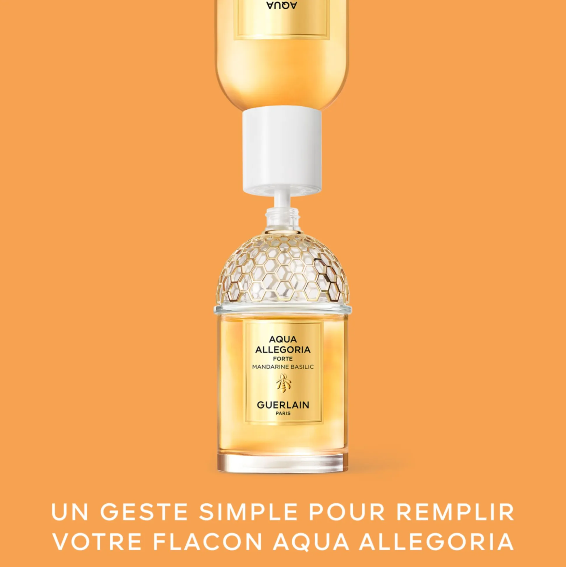 Aqua Allegoria Forte