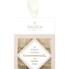 Bachca