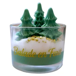 Balade En Forêt