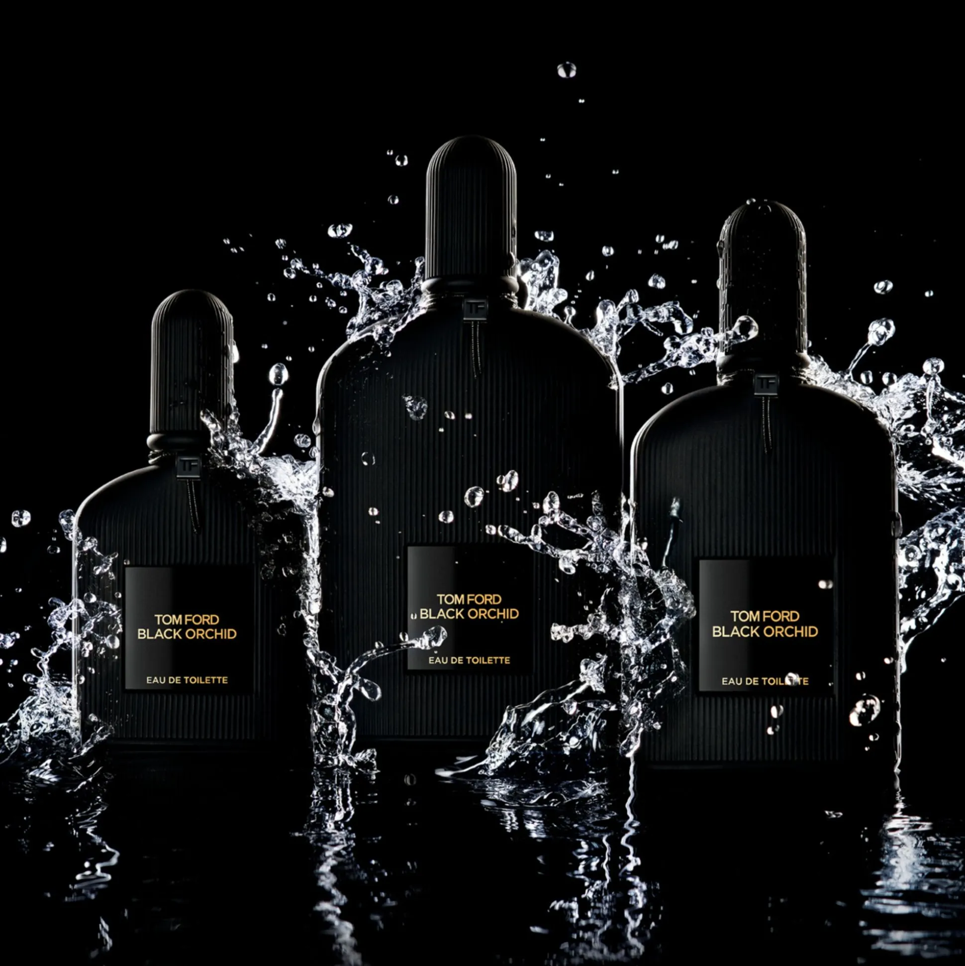 Black Orchid