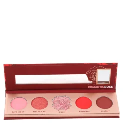 Blooming Hues Romantic Rose