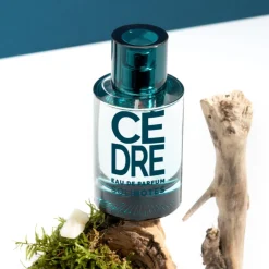 Cèdre