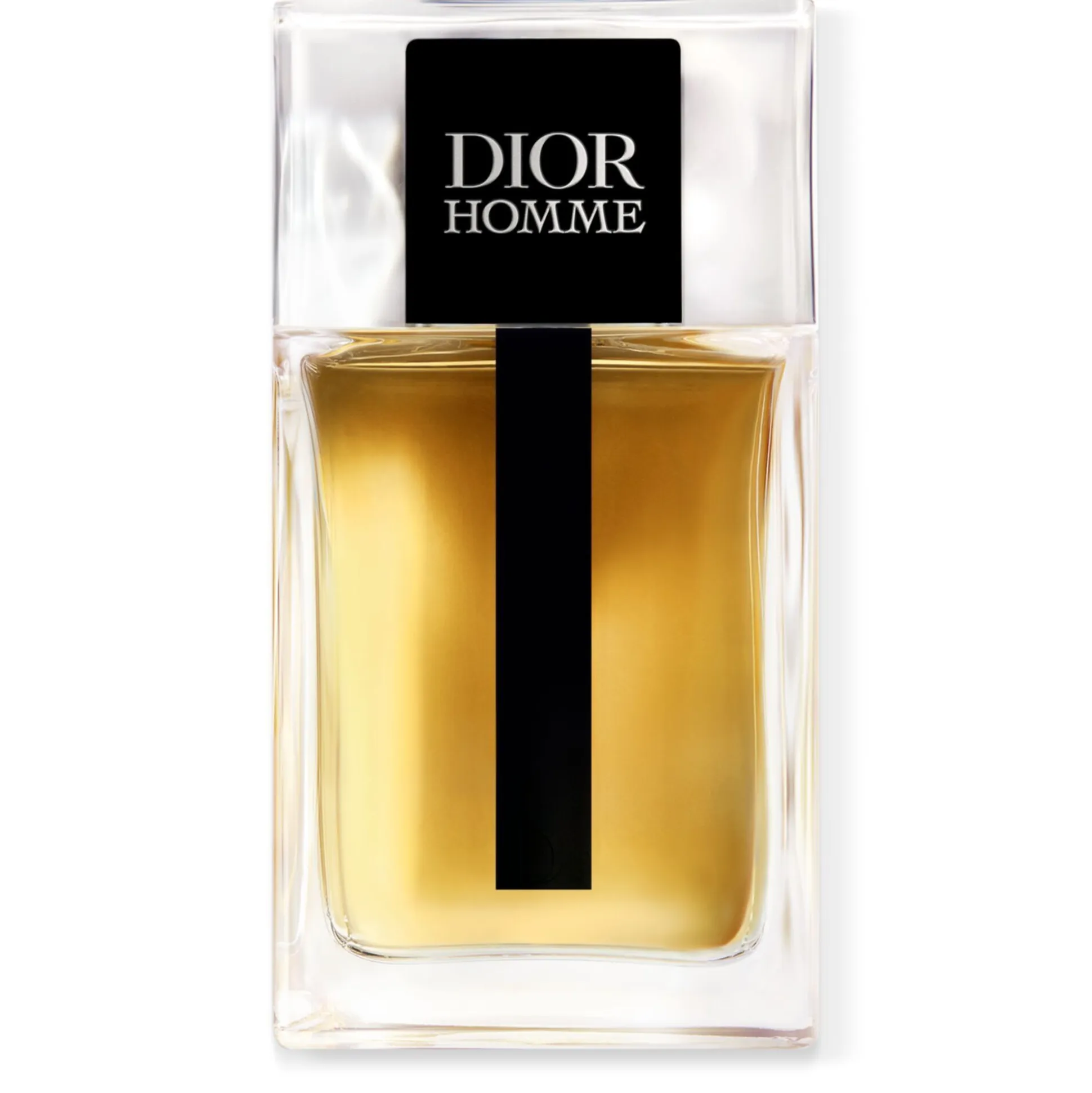 Dior Homme