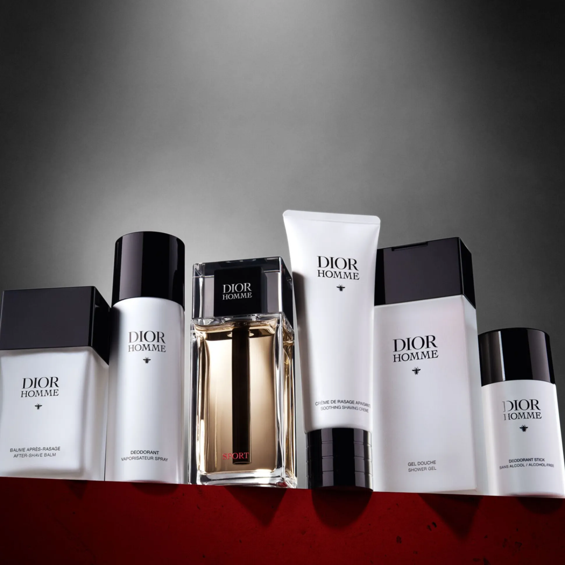 Dior Homme