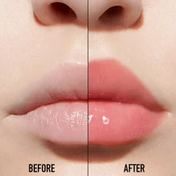 Dior Addict Lip Maximizer