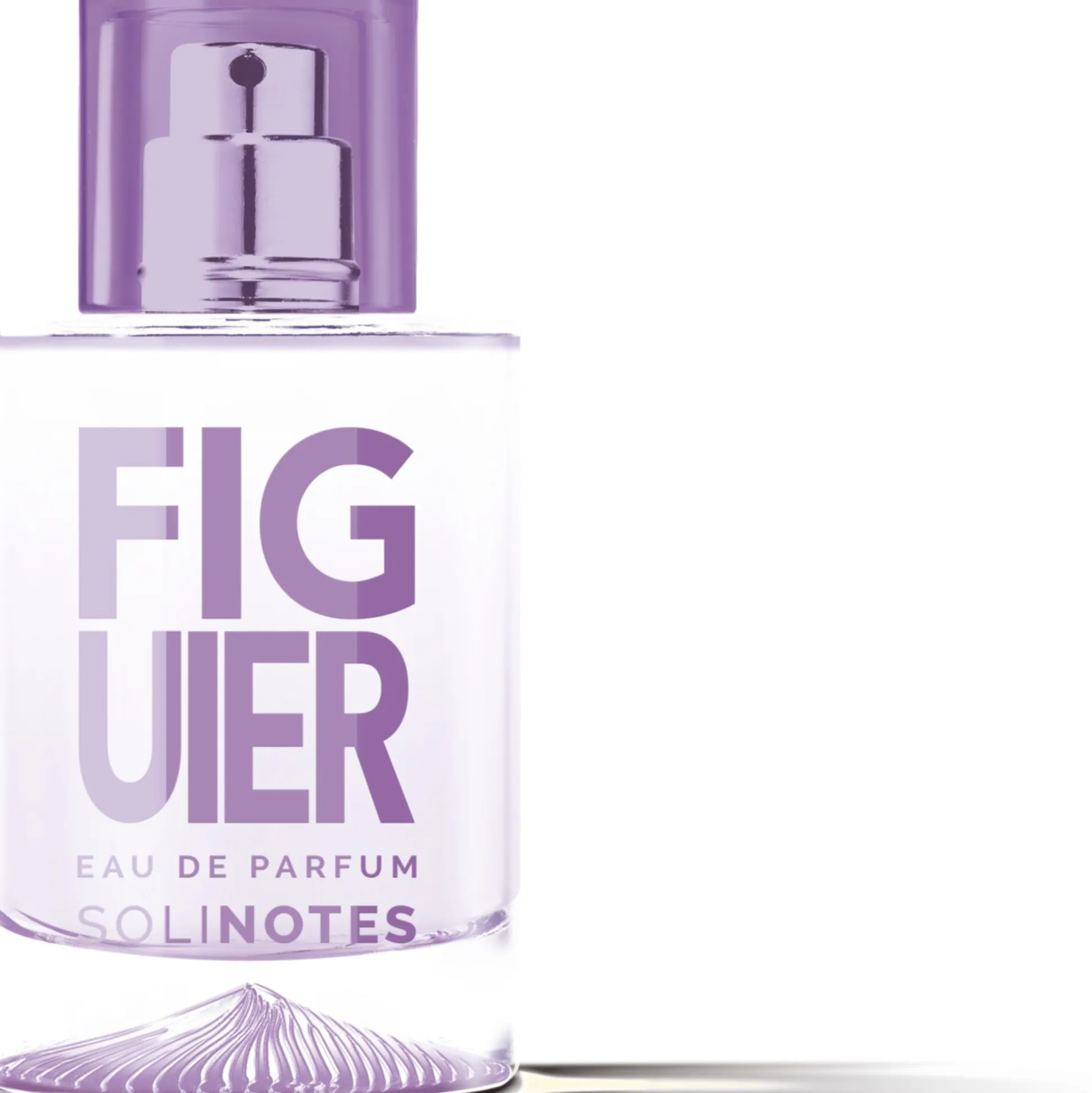 Figuier