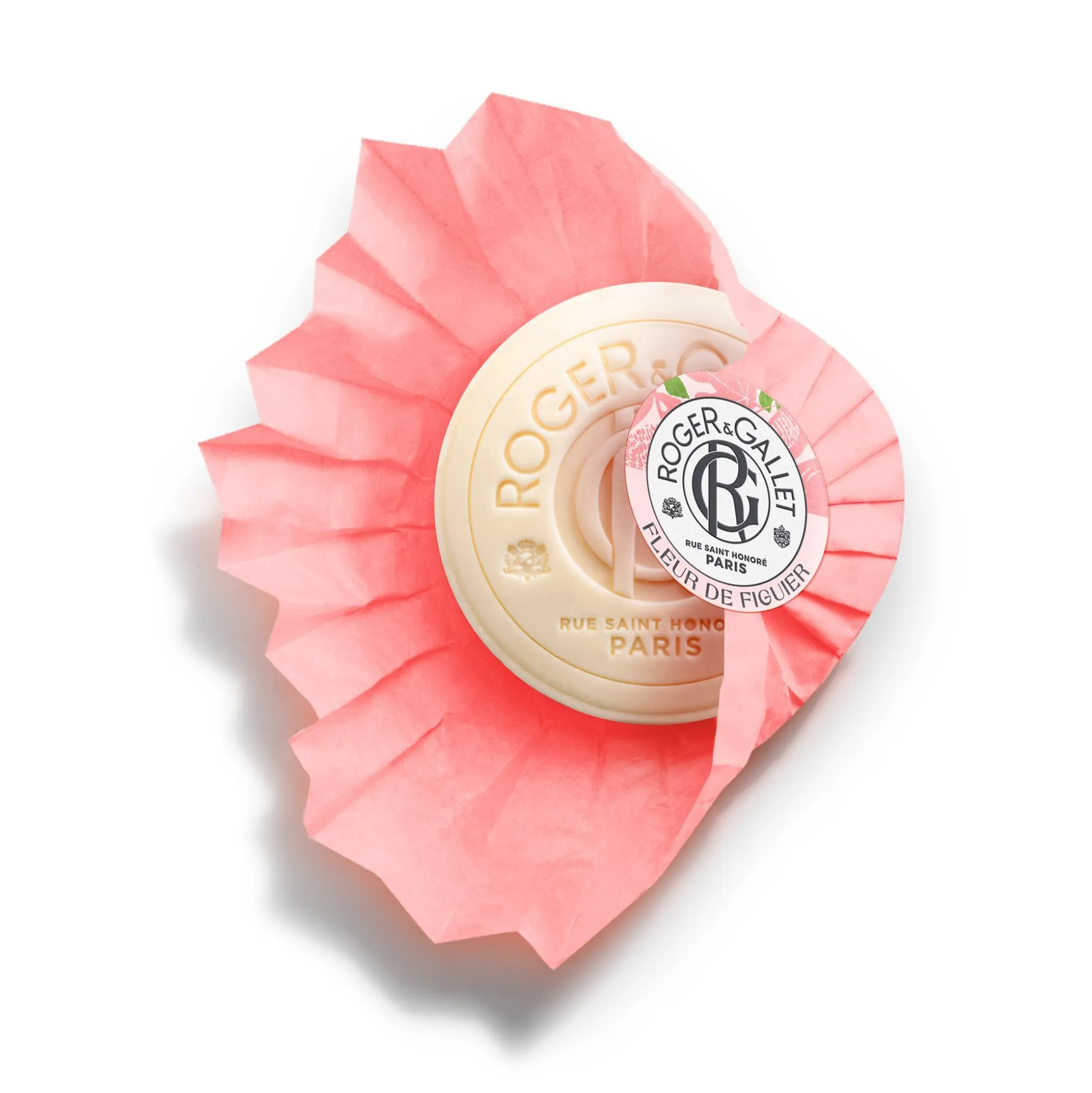 Fleur De Figuier