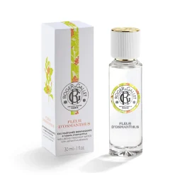 Fleur D'osmanthus