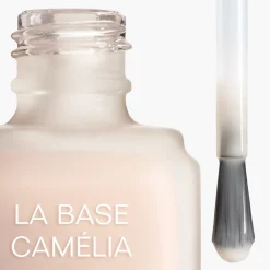 LA BASE CAMÉLIA