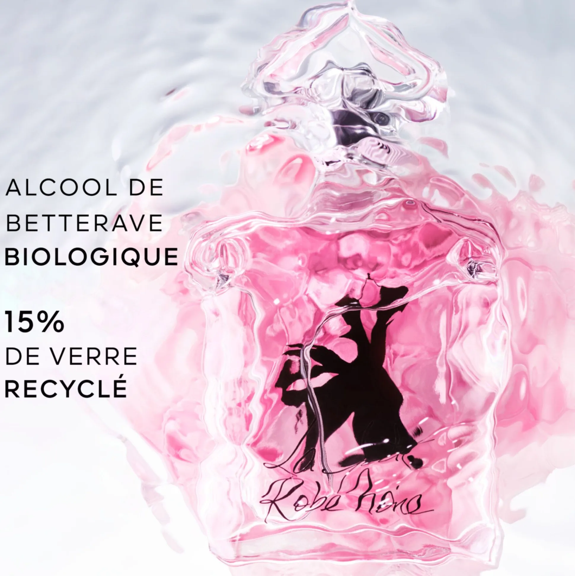 La Petite Robe Noire