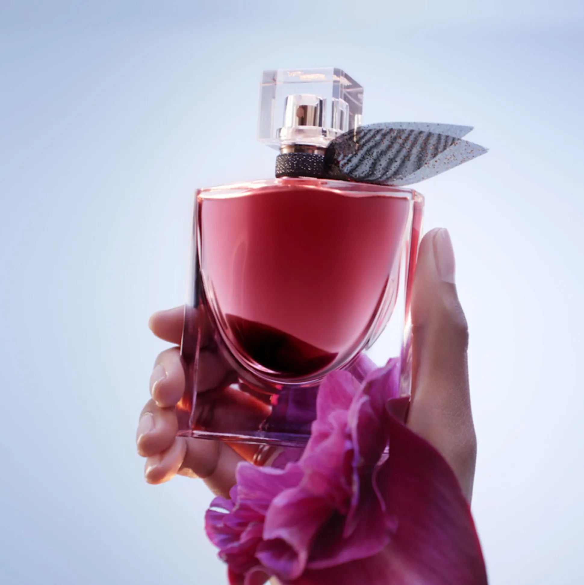 La Vie Est Belle L'elixir