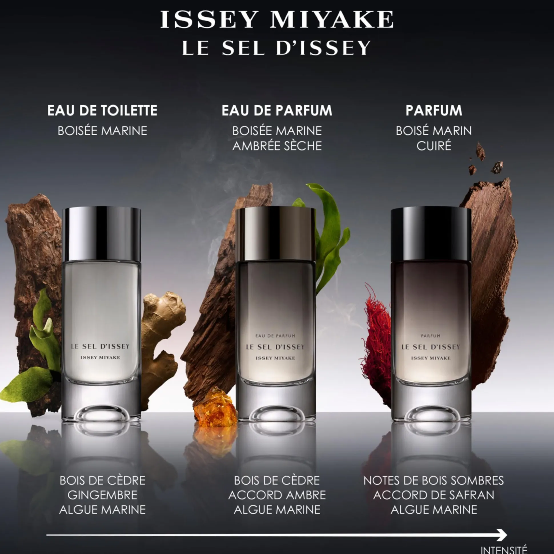 Le Sel D'issey