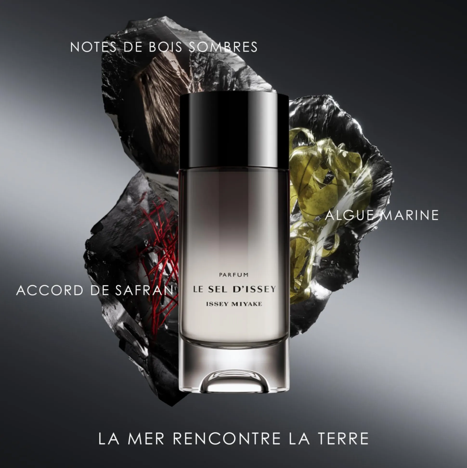 Le Sel D'issey