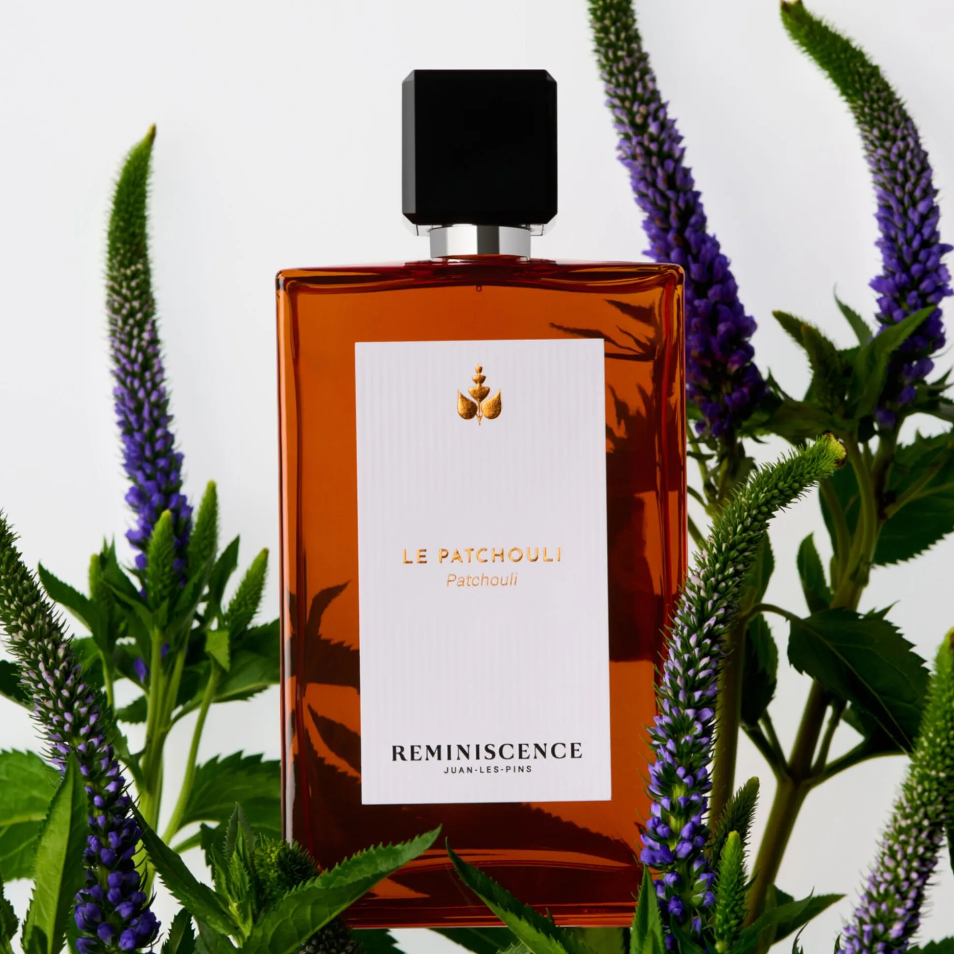 Le Patchouli