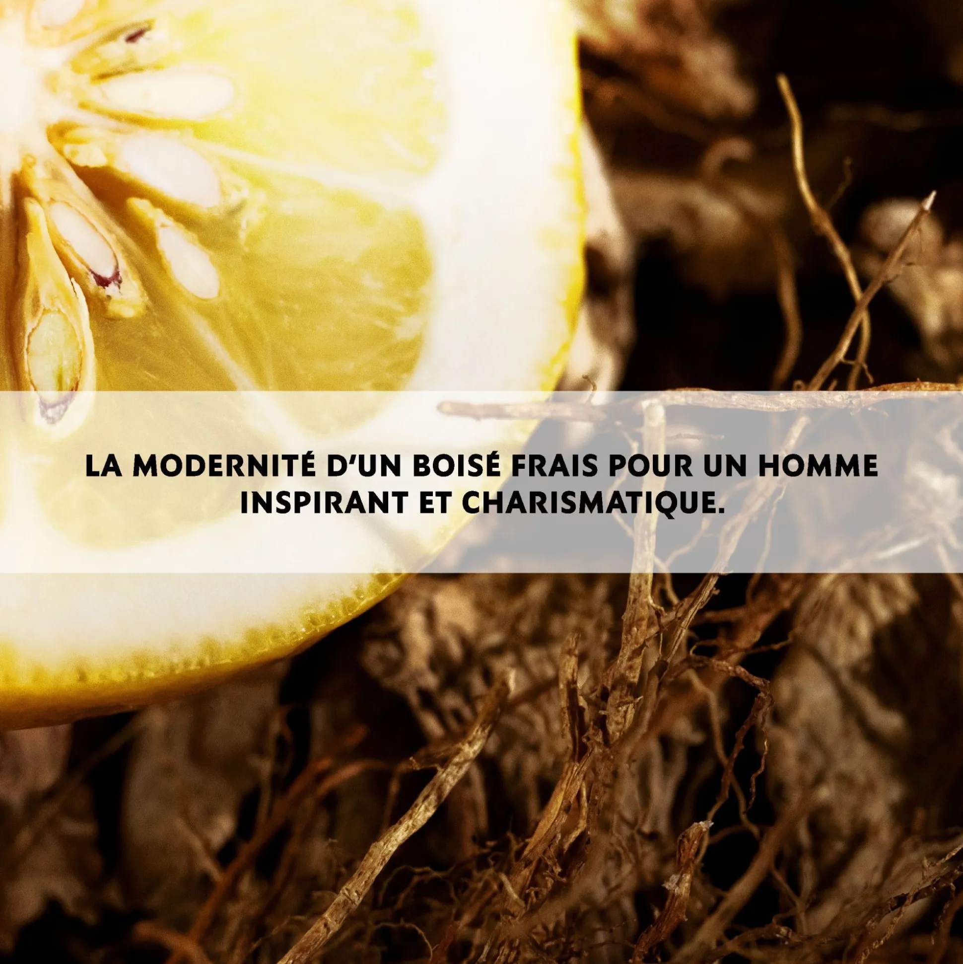 L'homme