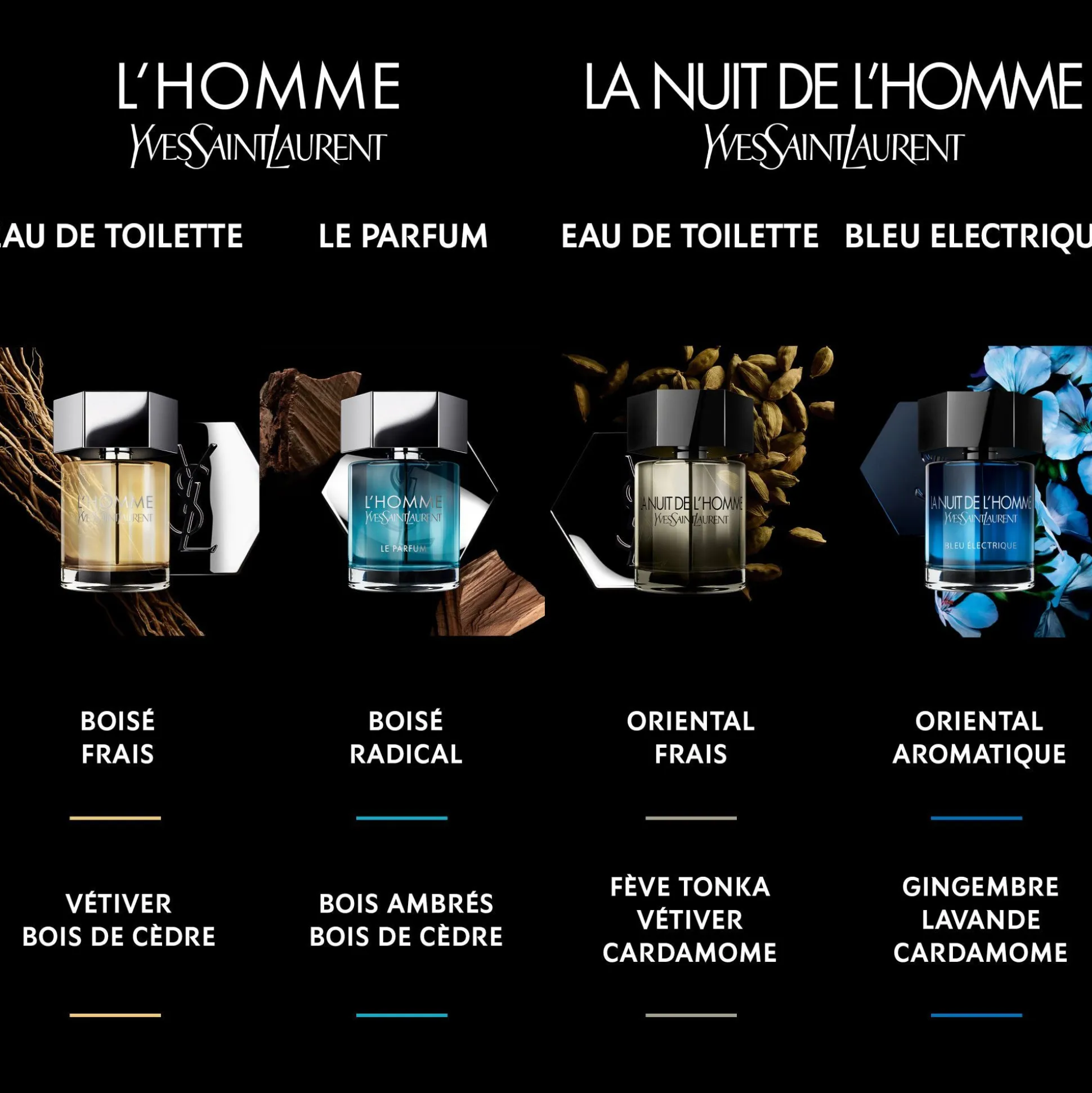 L'homme