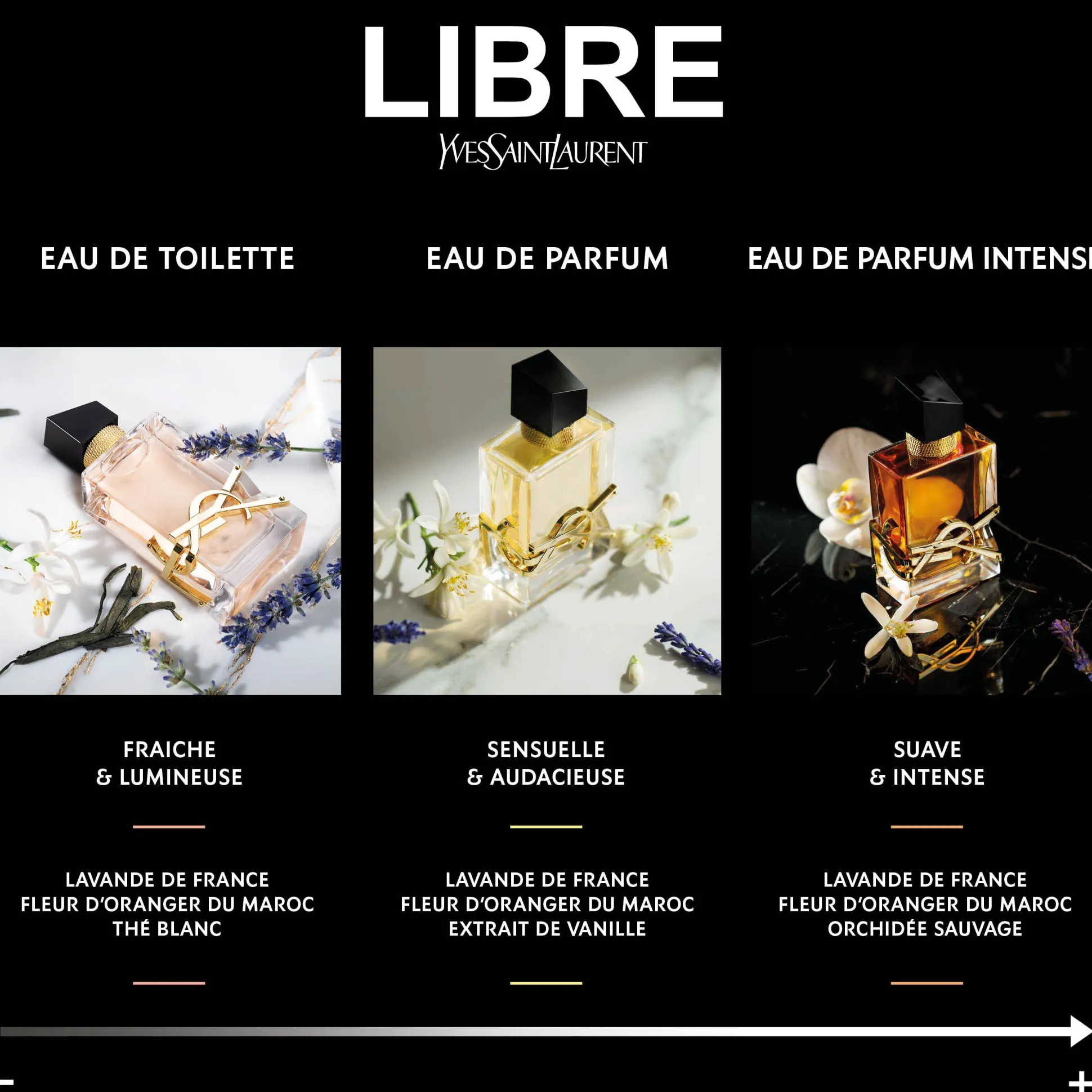Libre