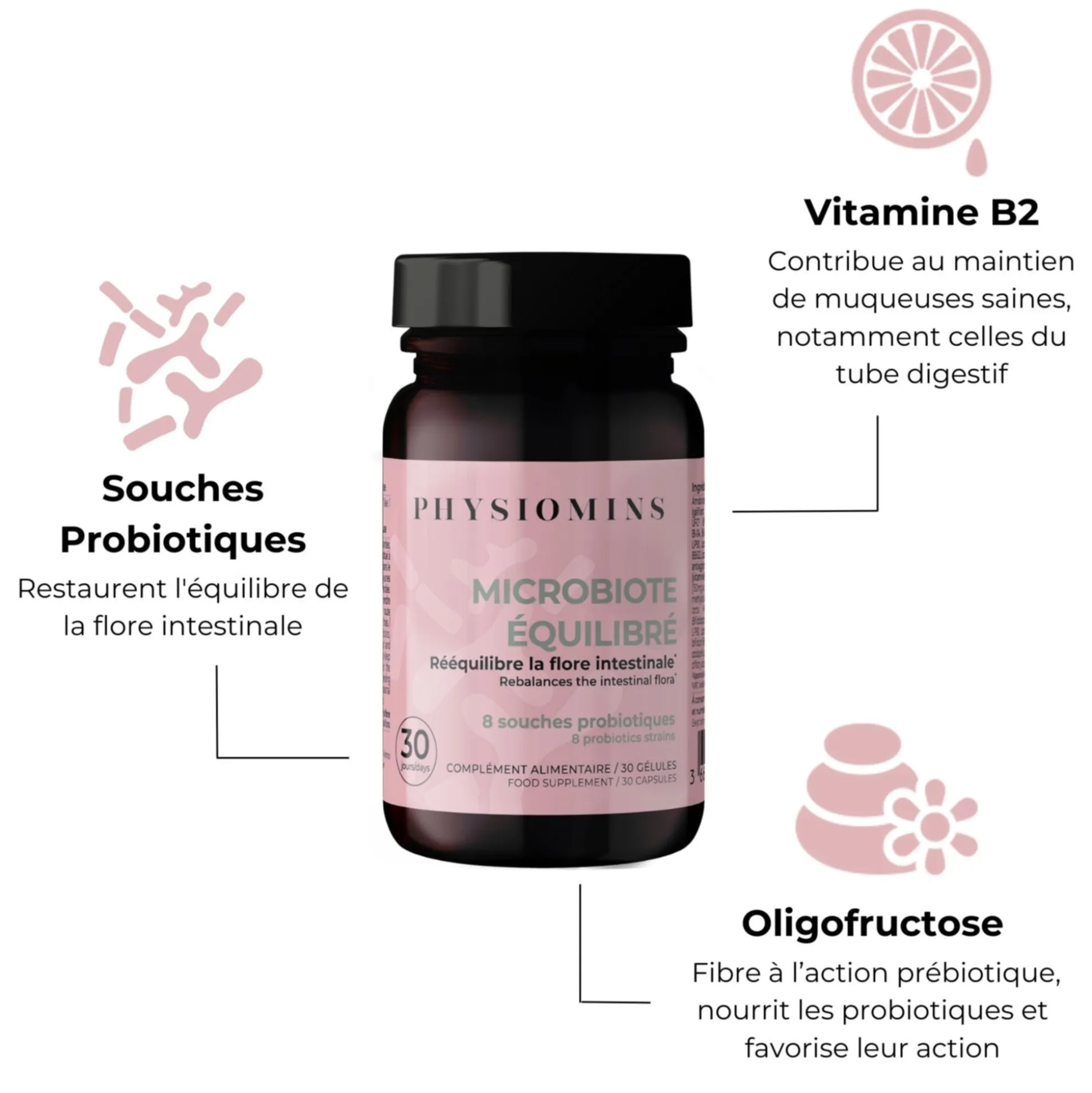 Microbiote Équilibré
