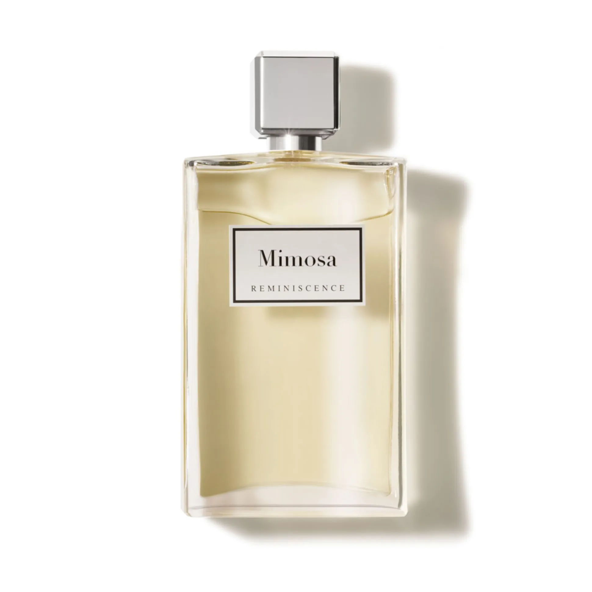 Mimosa