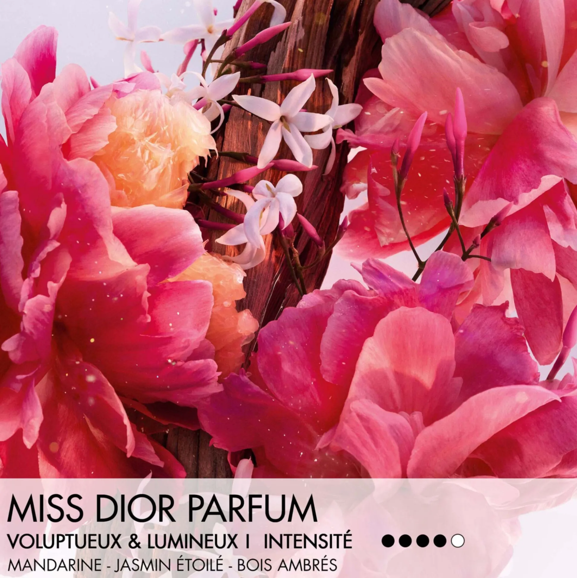Miss Dior