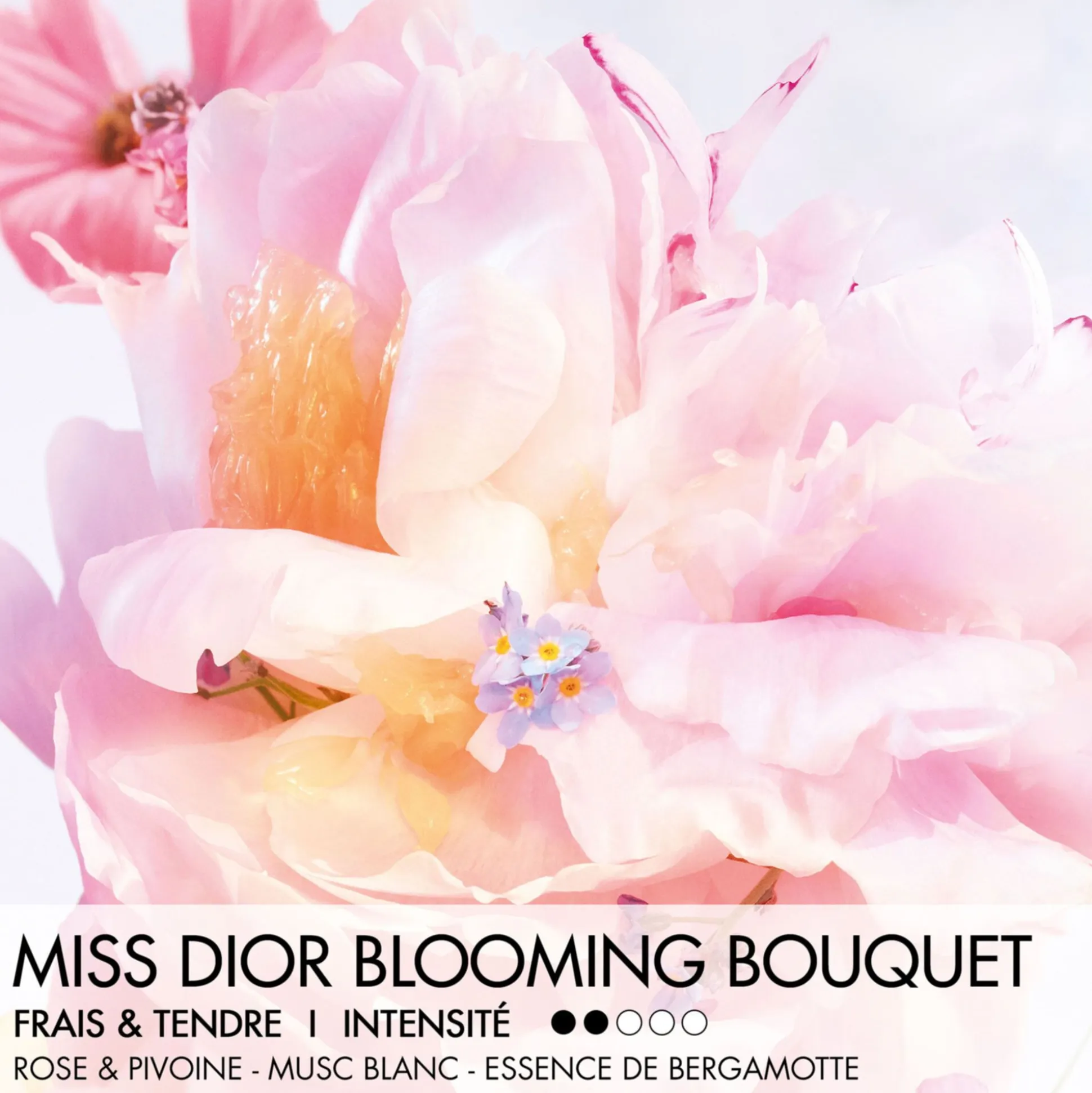 Miss Dior Blooming Bouquet