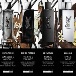 Myslf L'absolu