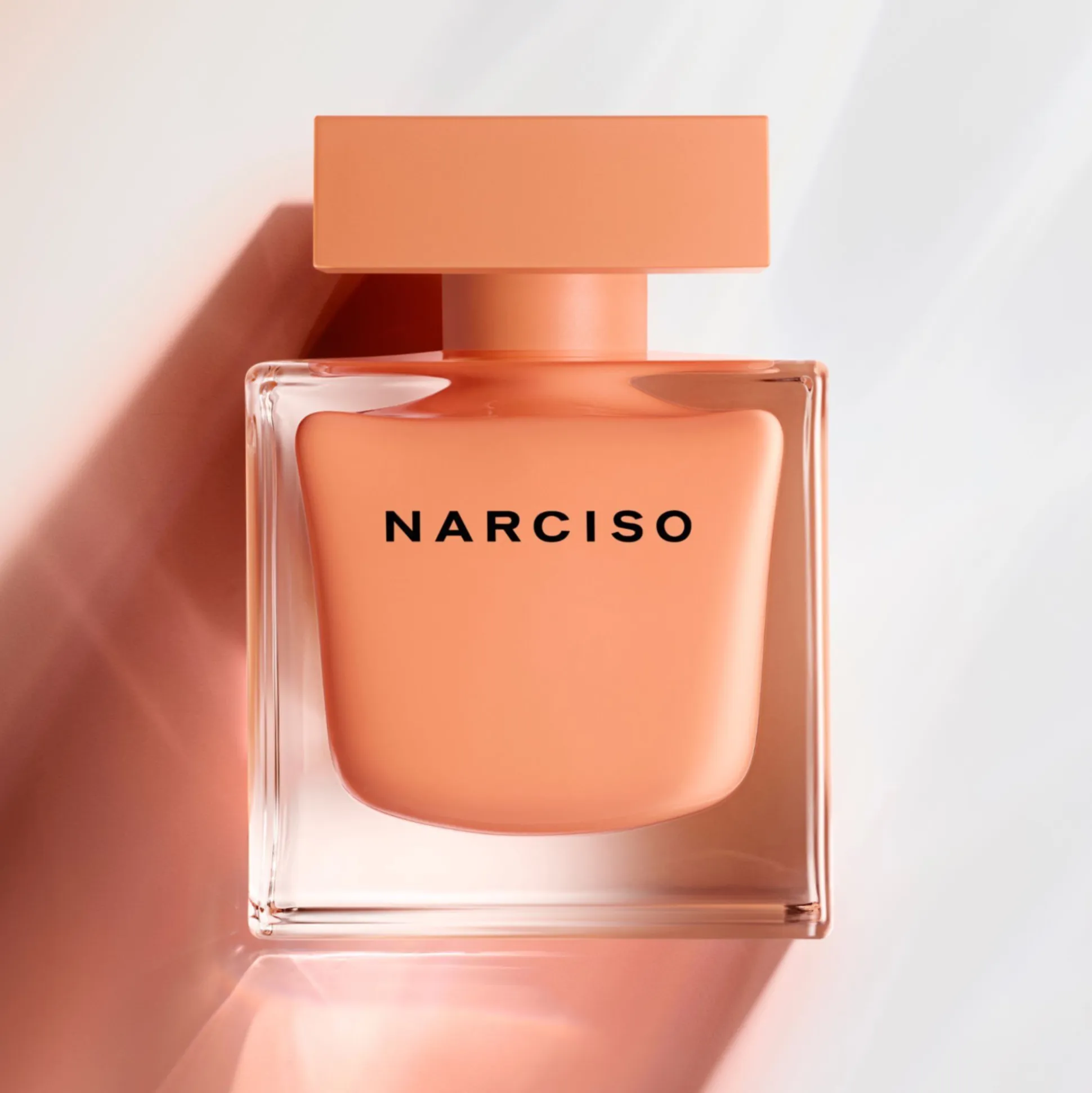 Narciso