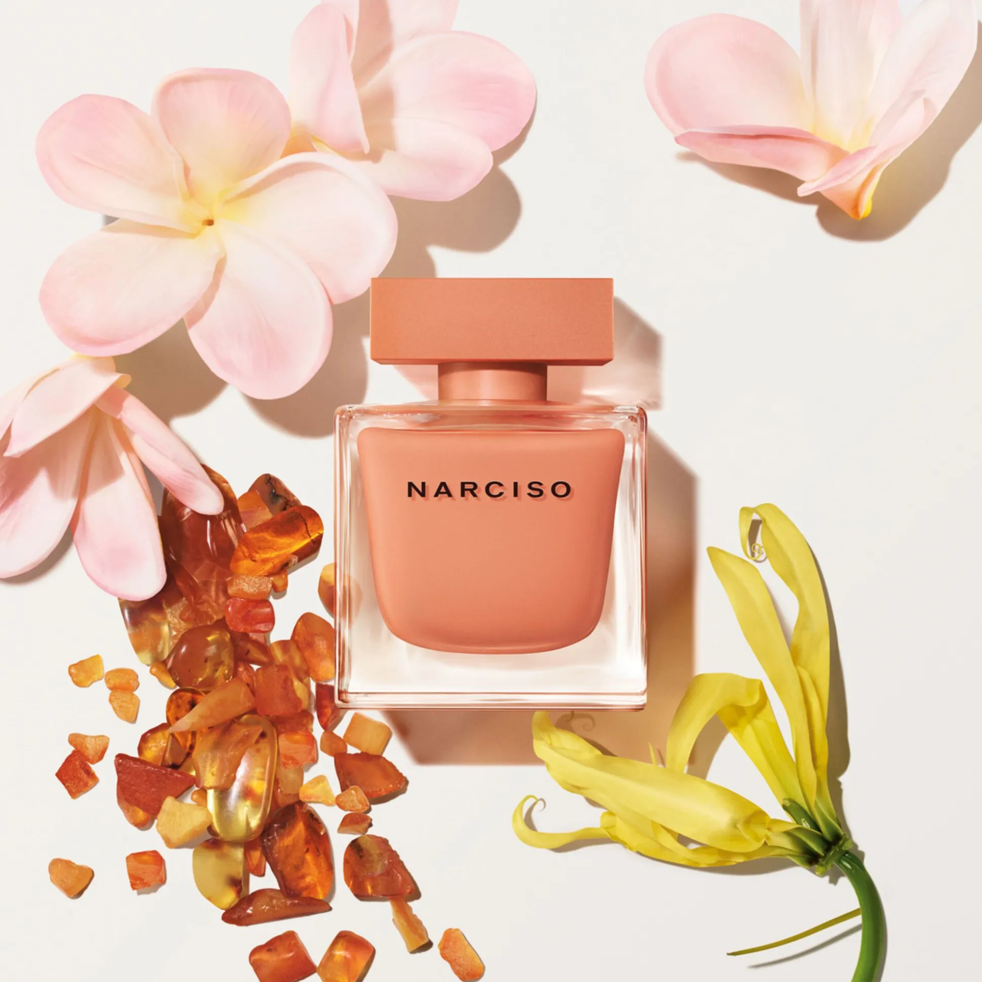 Narciso