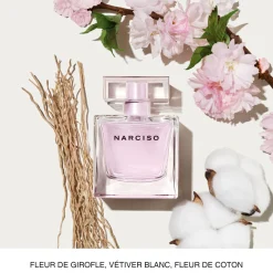 Narciso